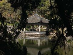 -叶家花园