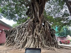 -闽粤南澳总镇府