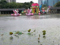 -映月湖公园