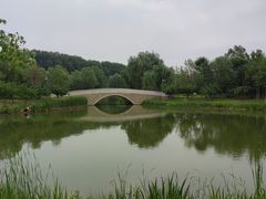 -东郊湿地公园