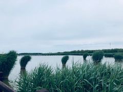 -西青郊野公园