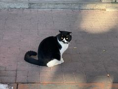 -上园鸡骨棒(上园小区店)