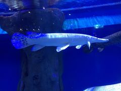 -成都浩海立方海洋公园