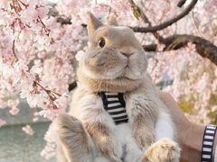 -山文星辉影城(济南和谐广场店)