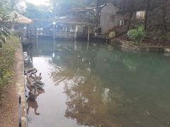 -天怡·鱼工厂(梅溪湖店)