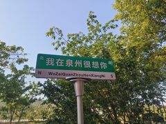 -清境桃源