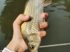 -酷鱼垂钓CLUB(朝阳区博大路店 )