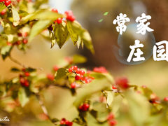 -常家庄园