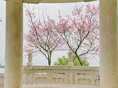 -广州市白云山风景名胜区