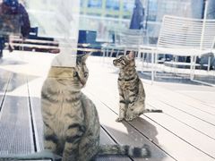 -UNI UNI(环亚凯瑟琳店)