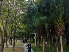 -深圳人才公园
