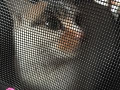 -暖阳宠物医院·犬猫康复中心·骨科
