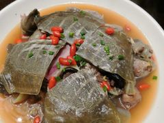 冰糖甲鱼-天宫南铂玫瑰园酒店