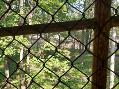 -哈尔滨北方森林动物园