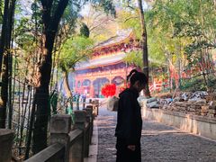-灵岩山风景区