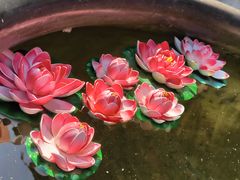 -西安市广仁寺