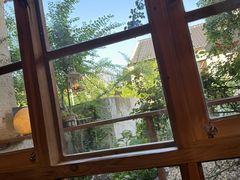 -Jo's Garden