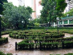 -九龙公园
