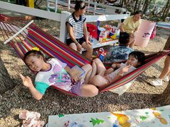 -长白岛森林公园