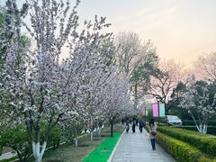 -海棠花溪(元大都城垣遗址公园)