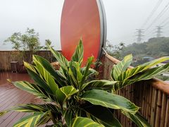-伴山茶苑·围炉煮茶