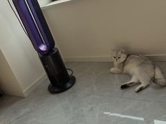 -艾吉宠物医院·疑难杂症转诊中心·猫友好(碧江路院)