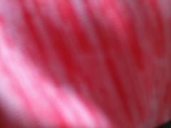 -文兴酒家(Chinatown - Gerrard Street)