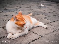 -广州市白云山风景名胜区