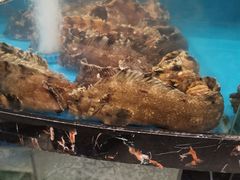 -丁字口海鲜热炒·烧烤大排档