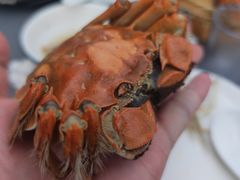 -蟹天蟹地农家菜·阳澄湖大闸蟹(浅水湾店)