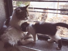 -五月木作·DIY木作文创体验店(北京路店)