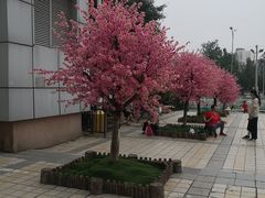 -百荣世贸商城