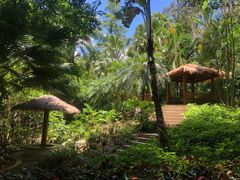 -深圳国际园林花卉博览园