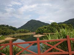 -广州市石门国家森林公园