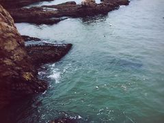 -摩天岭风景区
