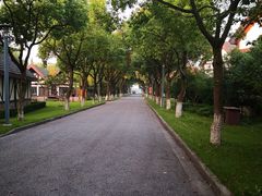 -太阳岛度假酒店