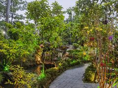 -花溪雨·森林餐厅(石基店)