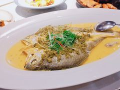 雪菜蒸野生大黄鱼-麟1929(外滩店)