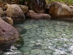 -龙佳生态温泉山庄