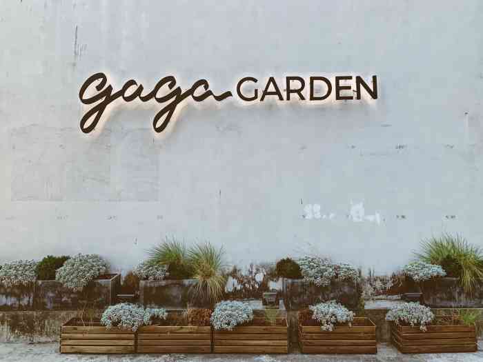 gaga garden-"gaga的东西还是颜值高,装修颜值高,菜."-大众点评移动版