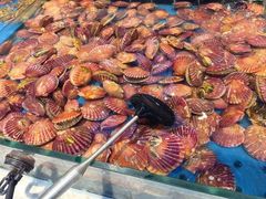 -川骄海鲜自助(河东店)