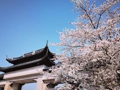 -苏州上方山国家森林公园