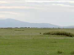 -山丹皇家马场