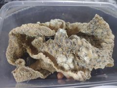 -老西关濑粉(文明路店)