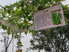 -中国天府农业博览园