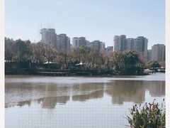 -新江湾城公园