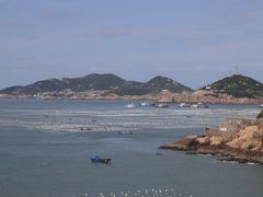 -枸杞岛