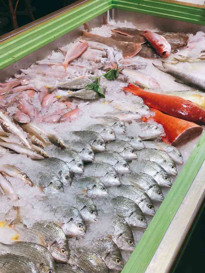 我是第一次来,这次是跟老家的长辈来,五个人点了吊桶仔,花甲,迪仔鱼