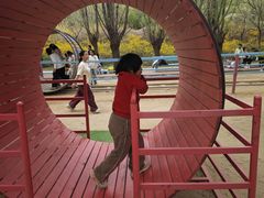 -西部长青自然儿童乐园