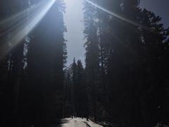 -白马王朗自然风景区